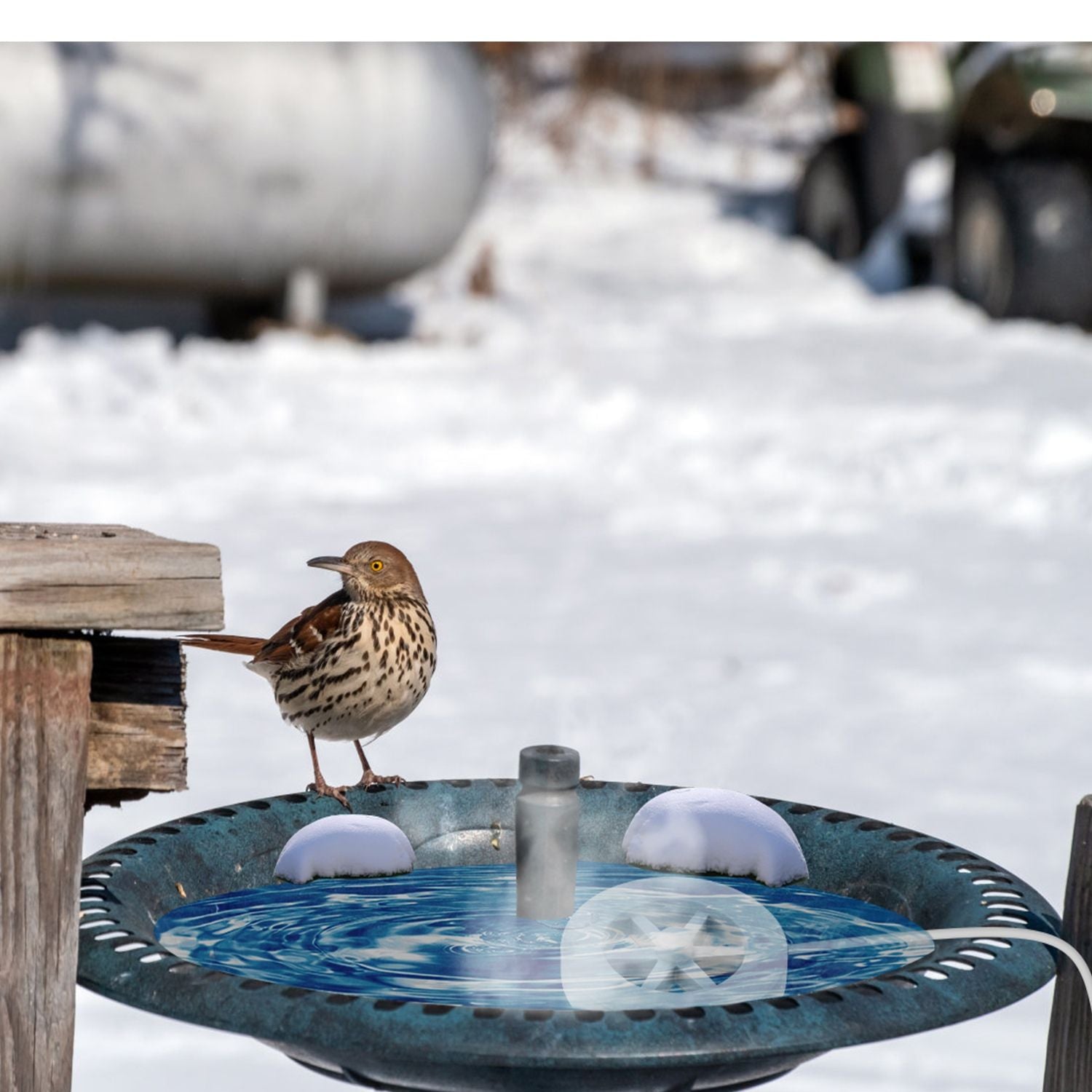 70W Bird Bath Heater for Outdoors Winter Heated Bird Bath Deicer Waterproof Aluminum Alloy Water Heater with Thermostat Auto Shutdown for Yard Patio Farm